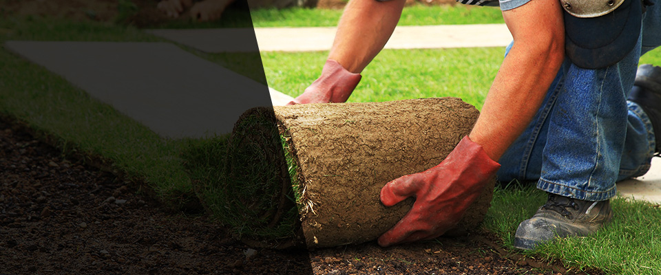 Spring Hill Landscapers